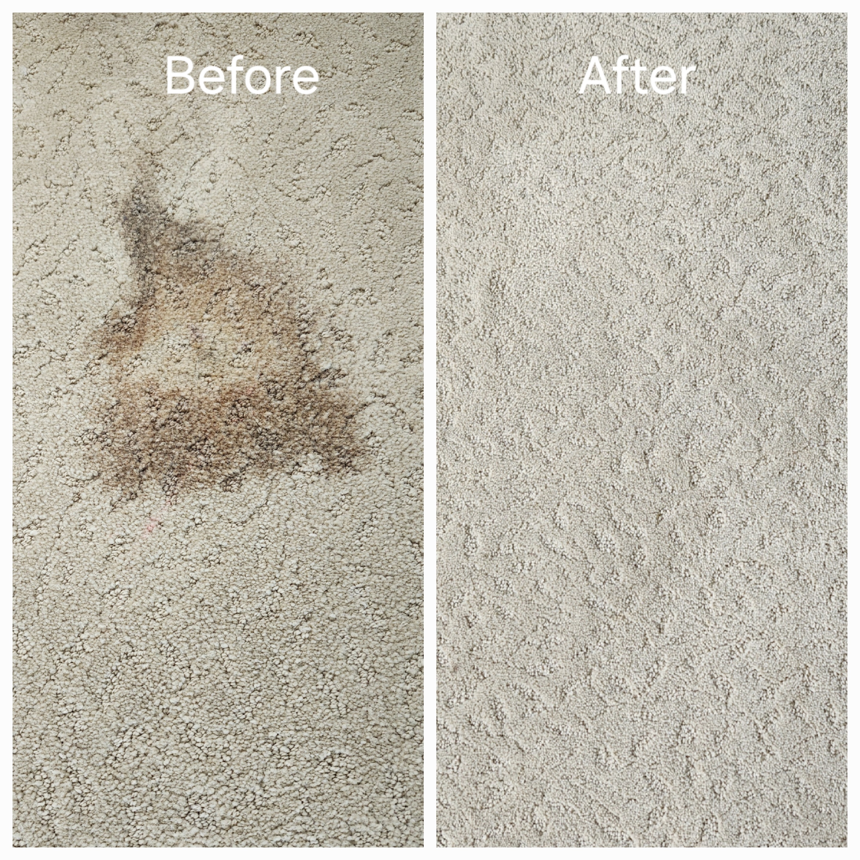 Duluth GA Carpet Cleaning.jpg