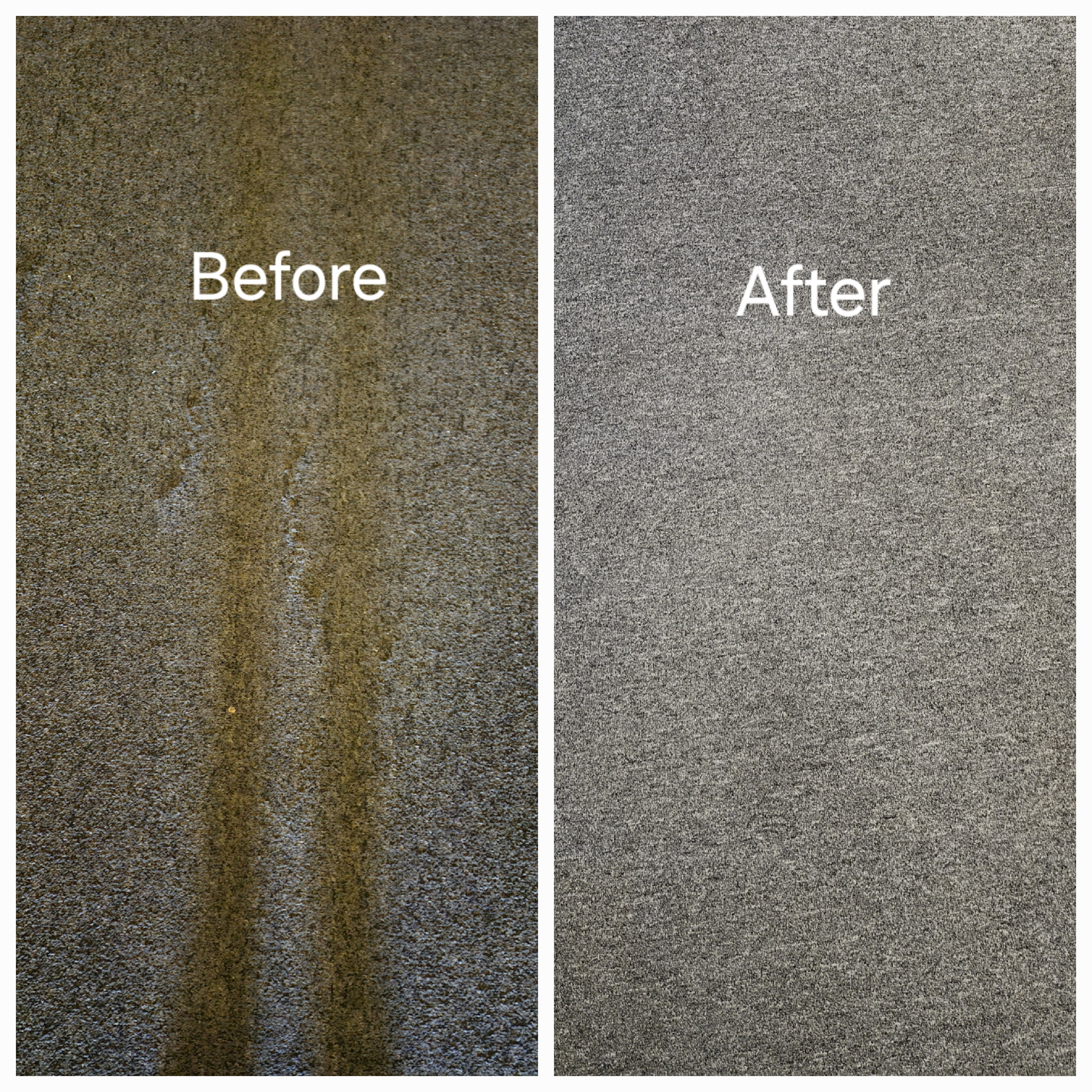 Duluth GA Professional Carpet Cleaning.jpg